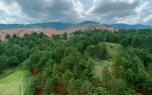 Apartamento en unidad Bosque Alto Amazonia Bello